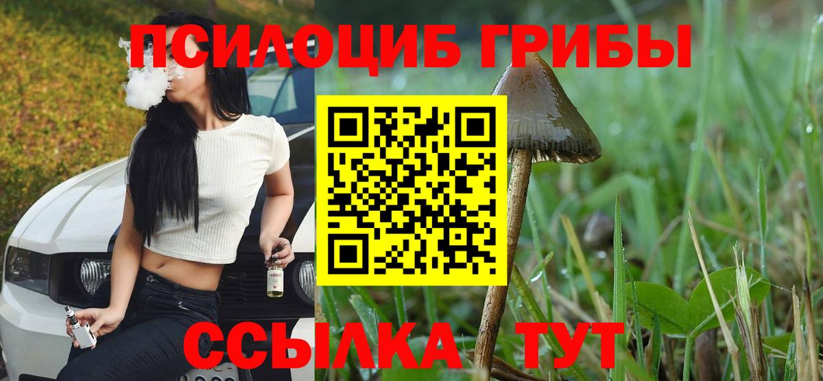 Галлюциногенные грибы MAGIC MUSHROOMS Южноуральск