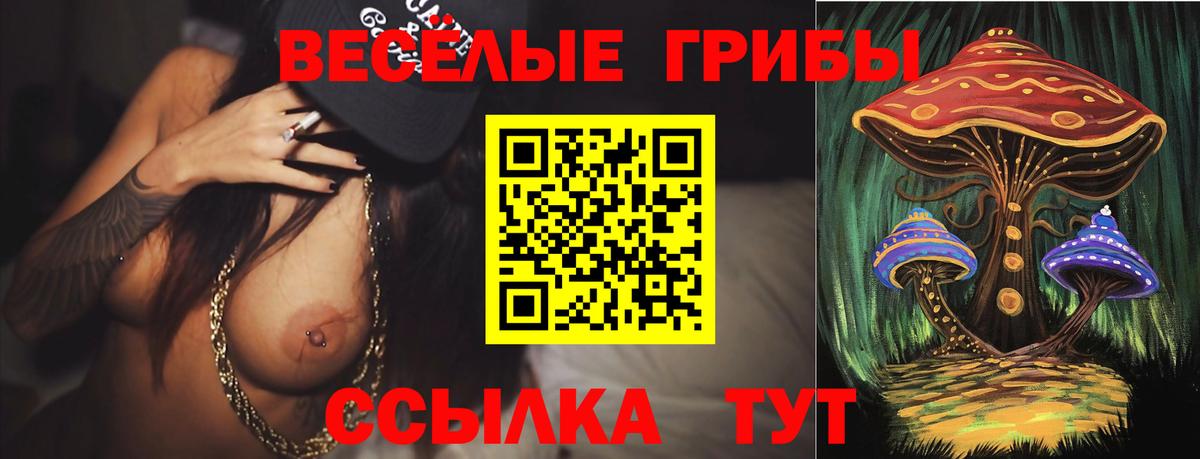 Галлюциногенные грибы ЛСД  Вход с VPN  Южноуральск 